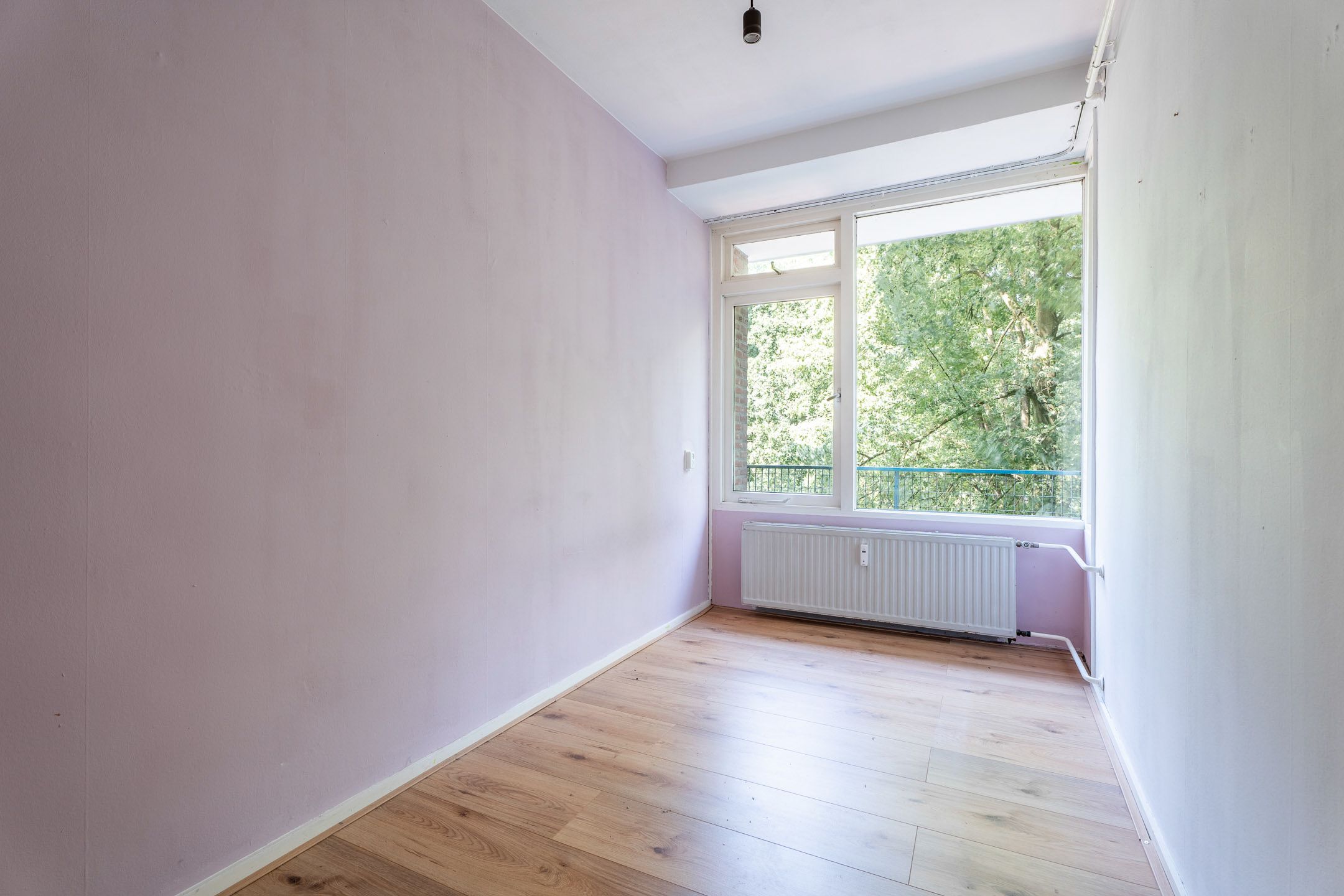 Foto 12 van Professor Cobbenhagenlaan 500