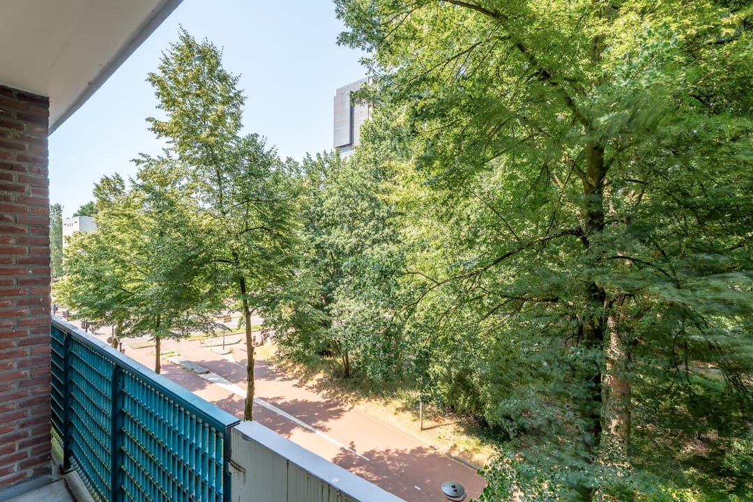 Foto 17 van Professor Cobbenhagenlaan 500