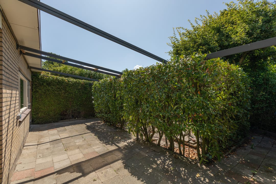 Photo 37 of Bordine 84