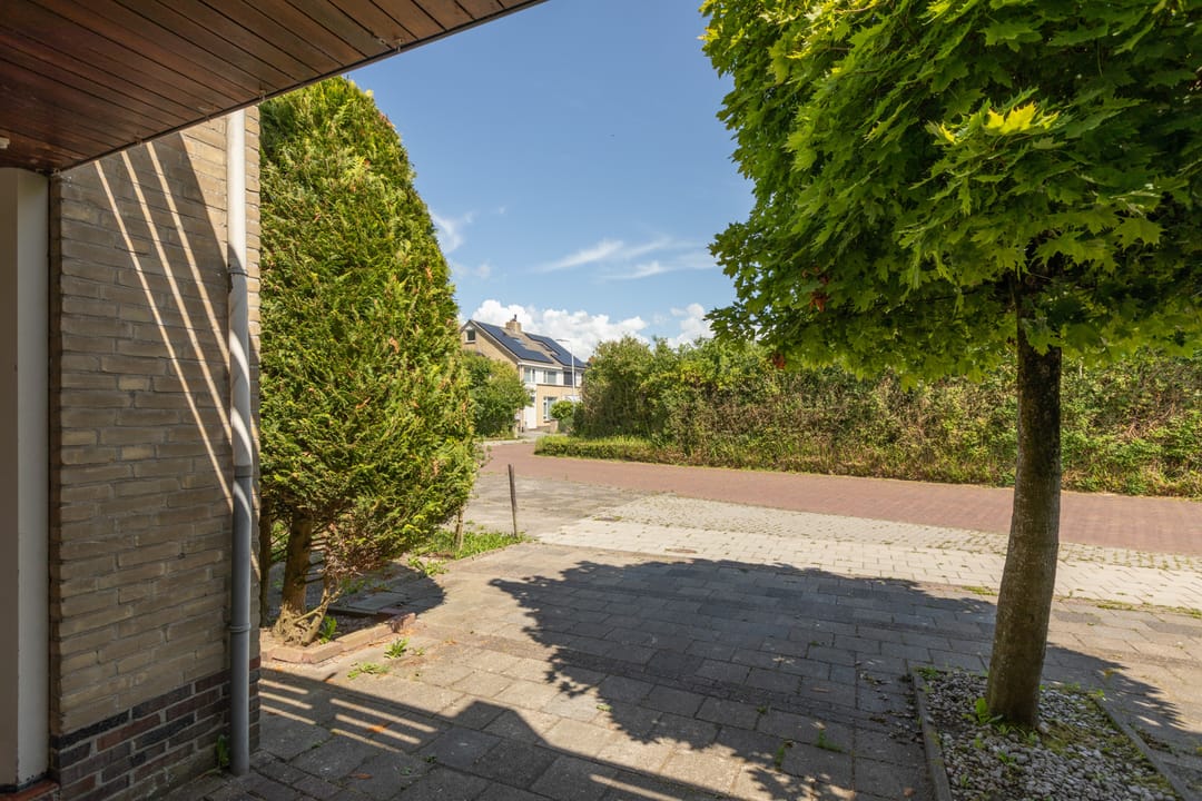 Photo 41 of Bordine 84