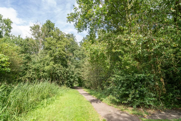 Foto 52 van Stremselstraat 58