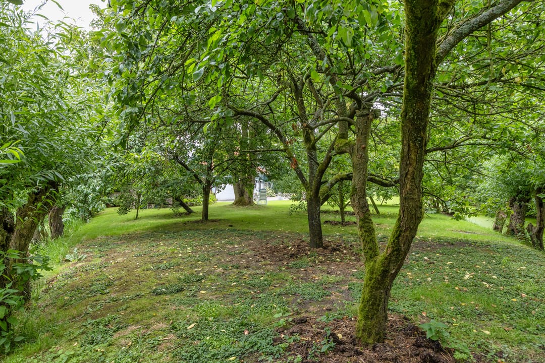 Foto 38 van Secretaris Haitsmalaan 65