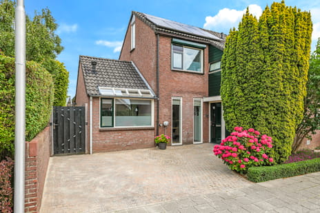 undefined main image