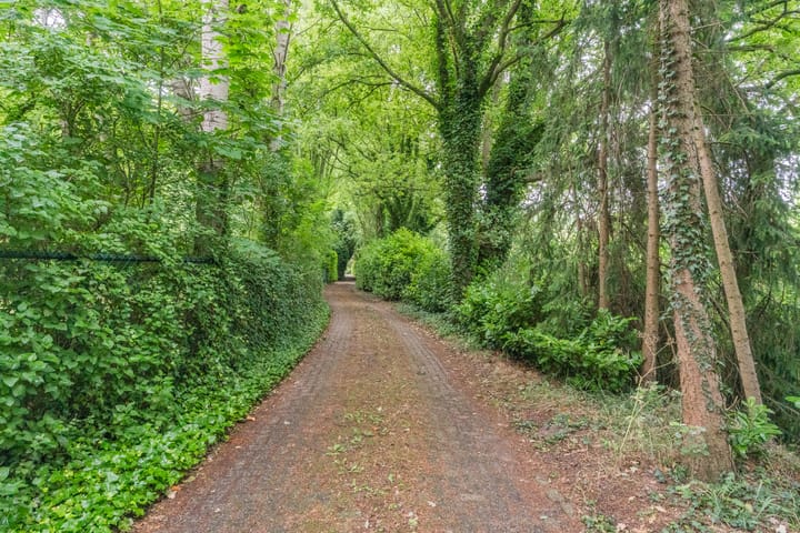 Photo 88 of Oude Stee 11