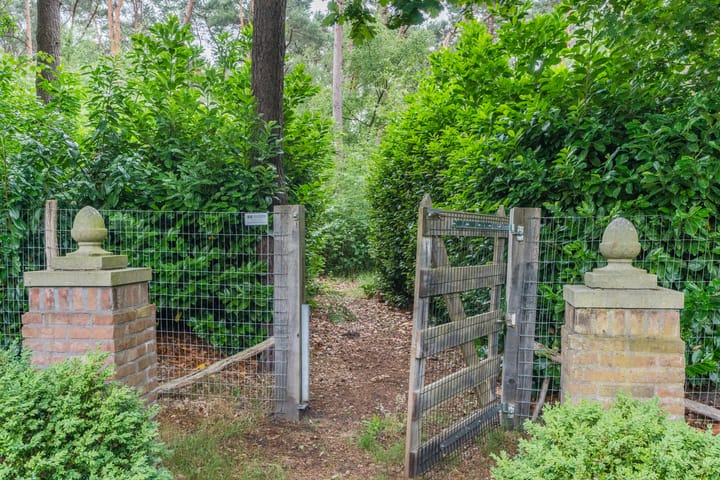 Photo 83 of Oude Stee 11