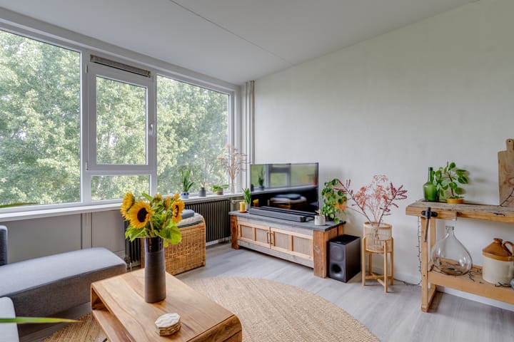 Foto 2 van Dommeringdreef 185