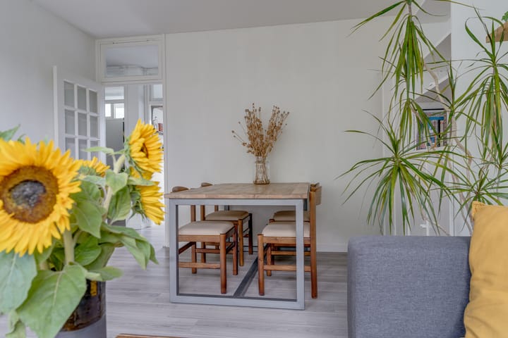 Foto 11 van Dommeringdreef 185