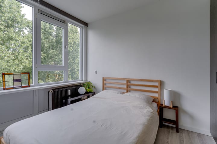 Foto 21 van Dommeringdreef 185