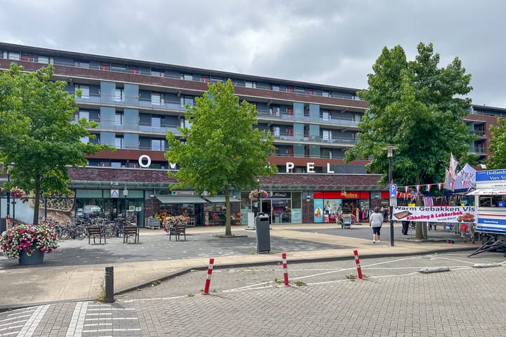 Foto 33 van Dommeringdreef 185