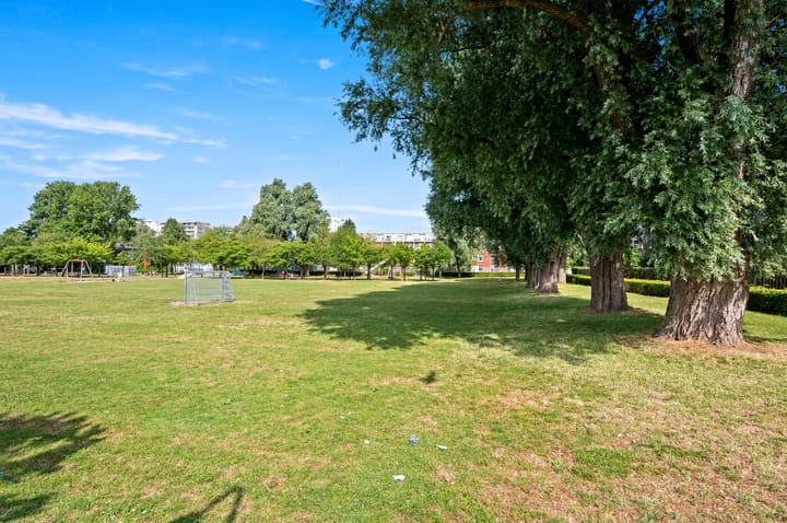 Foto 38 van Hengelolaan 681