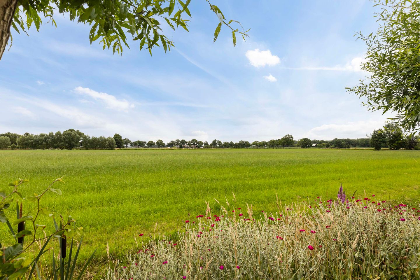 Photo 20 of Leigraaf 14-E