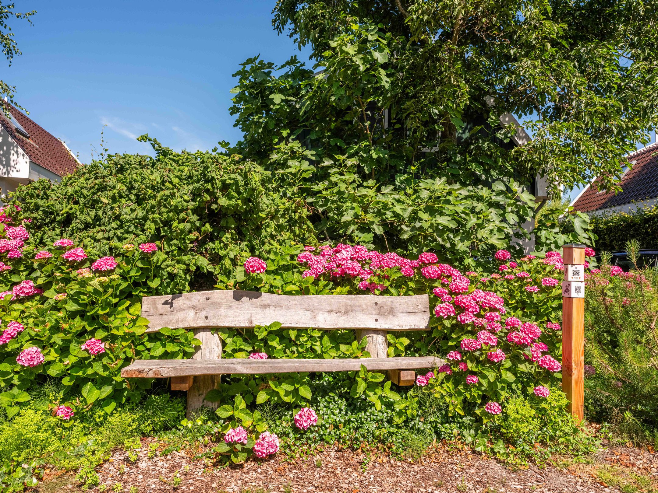 Foto 21 van Duinweg 99-0057