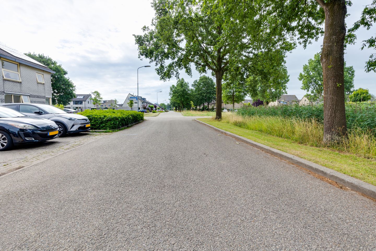 Foto 55 van Kruidenlaan 94