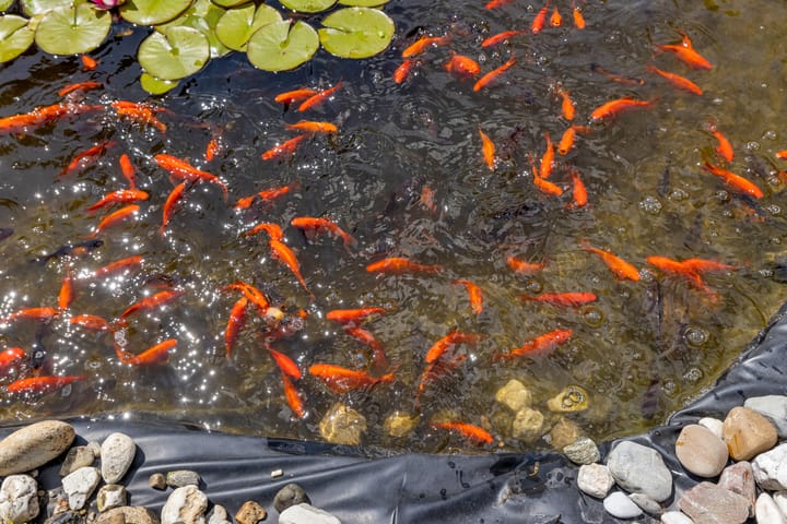 Foto 41 van Wilhelminalaan 14