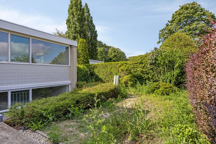 Foto 44 van Glazoenowlaan 3