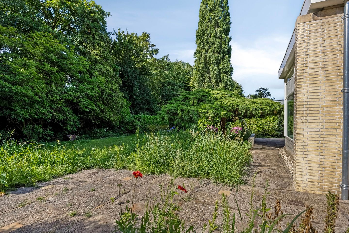 Foto 49 van Glazoenowlaan 3