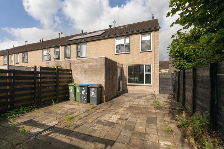 Foto 2 van Rode Klaver 75