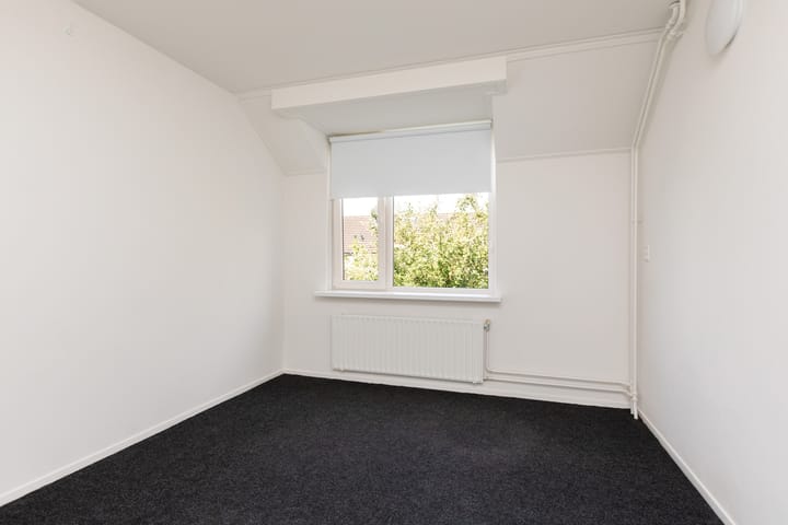 Foto 24 van Rode Klaver 75