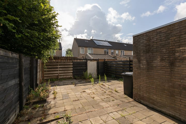 Foto 33 van Rode Klaver 75