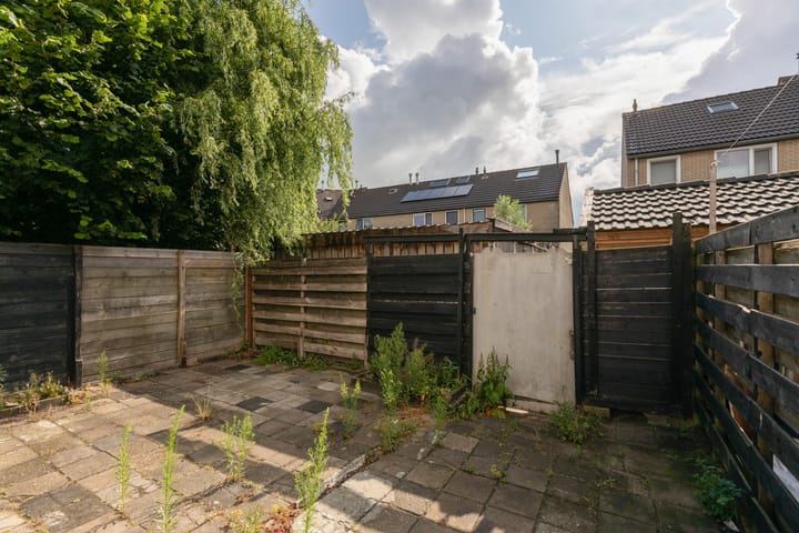 Foto 34 van Rode Klaver 75