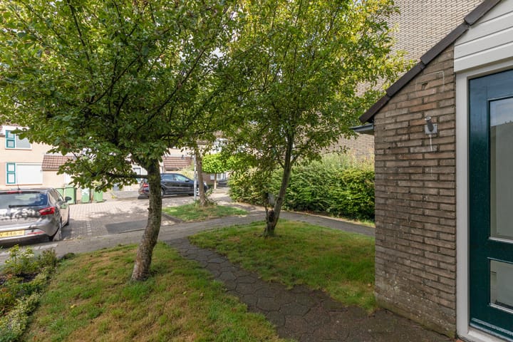 Foto 37 van Rode Klaver 75