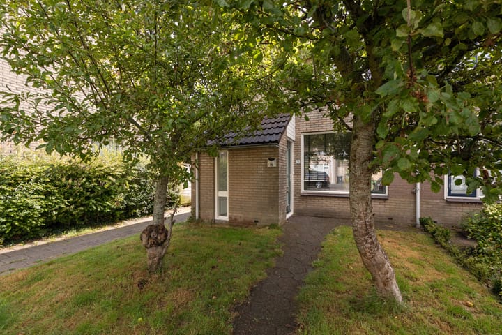 Foto 38 van Rode Klaver 75