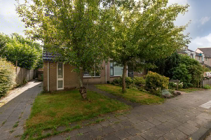 Foto 40 van Rode Klaver 75