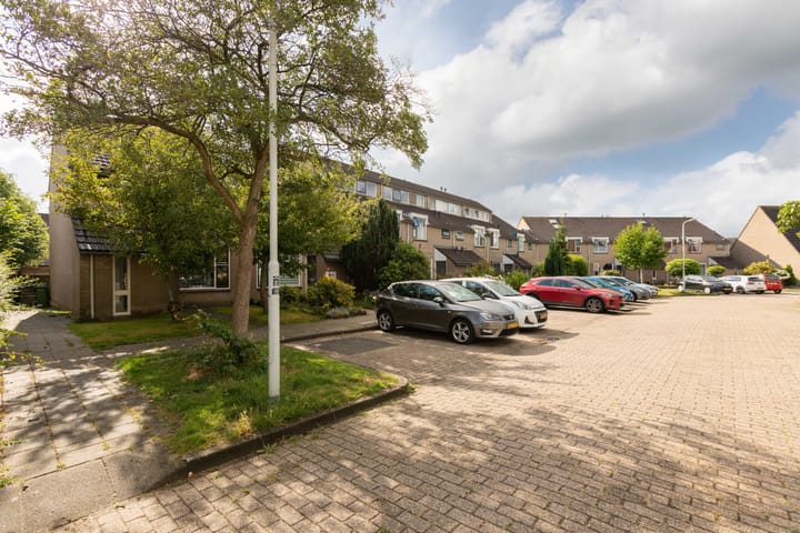 Foto 41 van Rode Klaver 75