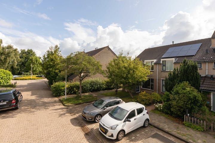 Foto 43 van Rode Klaver 75