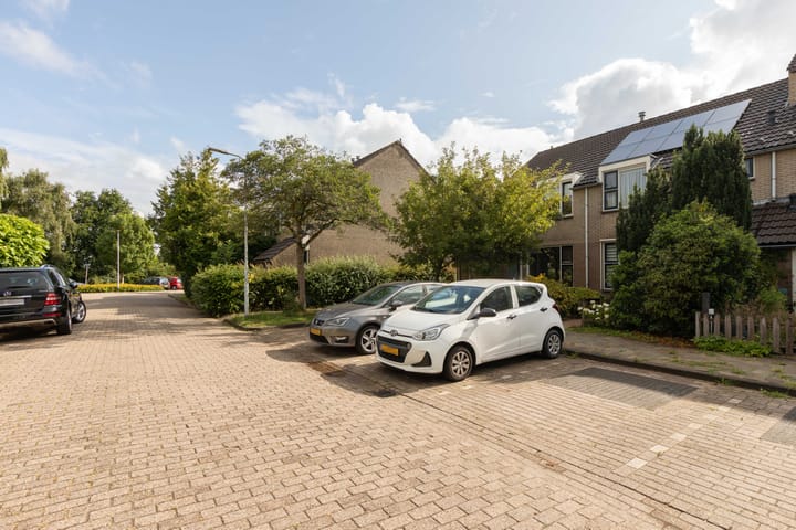 Foto 42 van Rode Klaver 75