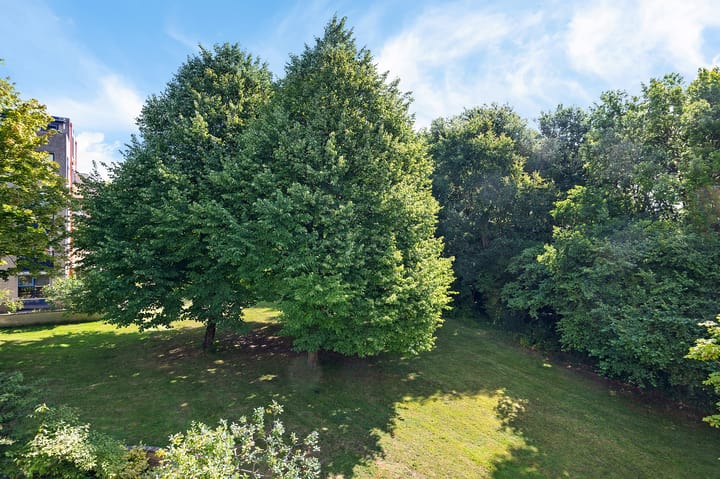 Foto 21 van Lettenburg 48