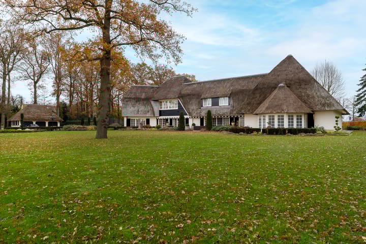 Foto 29 van Bornsestraat 380