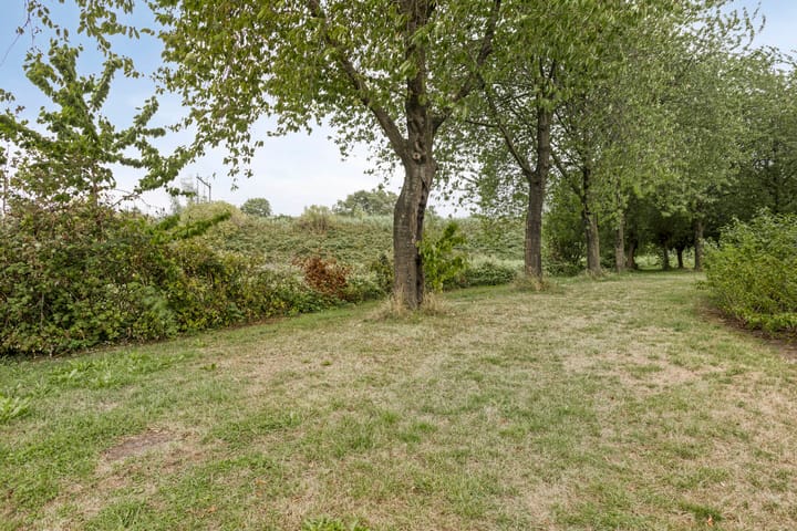 Foto 43 van Dokter van Wieringenstraat 25