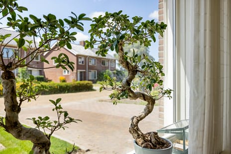 Pr. Bernhardstraat 8 tertiary image