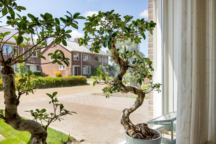 Foto 3 van Pr. Bernhardstraat 8