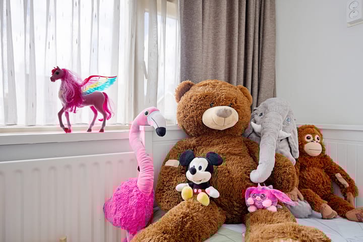 Foto 48 van Pr. Bernhardstraat 8