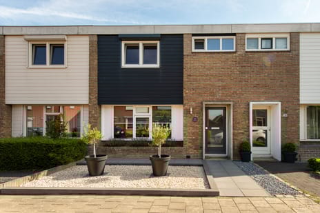 undefined main image