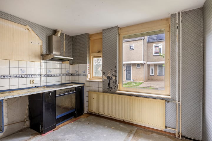 Foto 3 van Ligusterpad 40