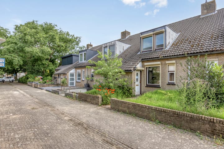 Foto 7 van Ligusterpad 40