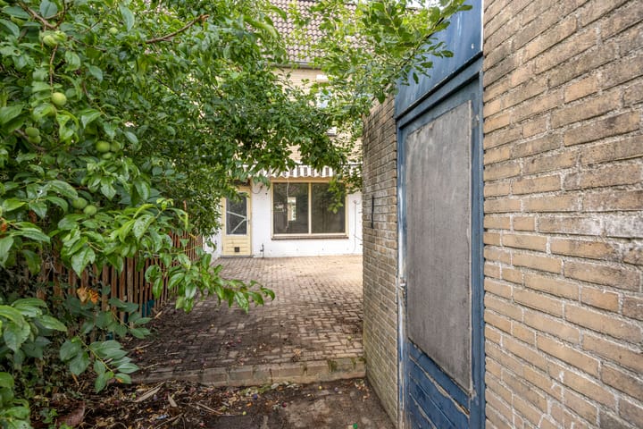 Foto 19 van Ligusterpad 40