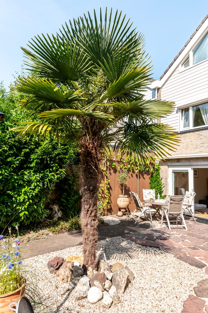 Foto 22 van Madernastraat 5