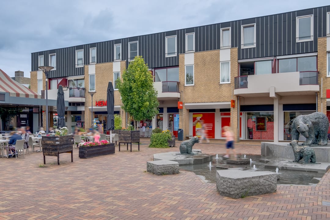 Photo 1 of Callunaplein 100