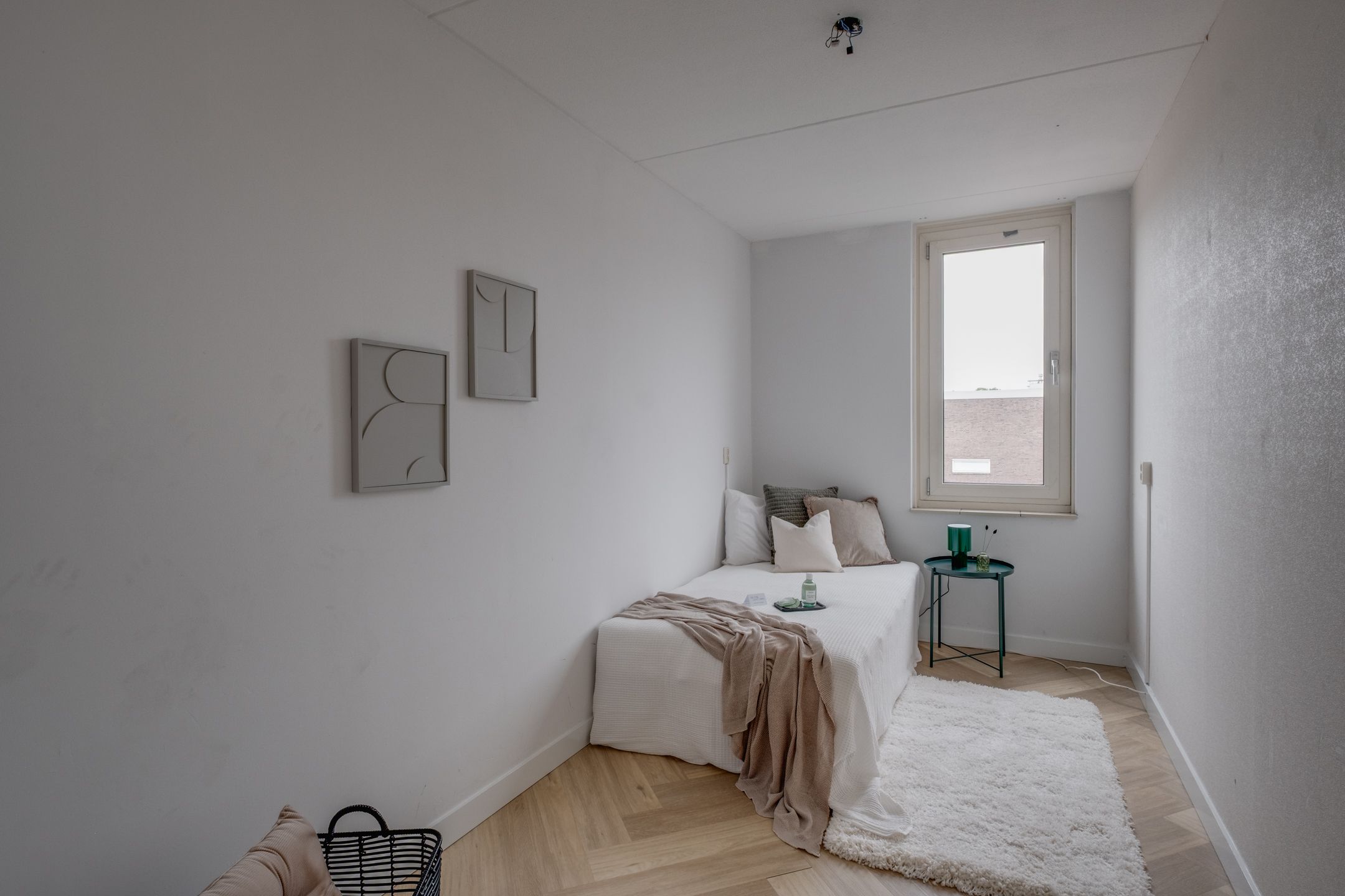 Photo 21 of Callunaplein 100