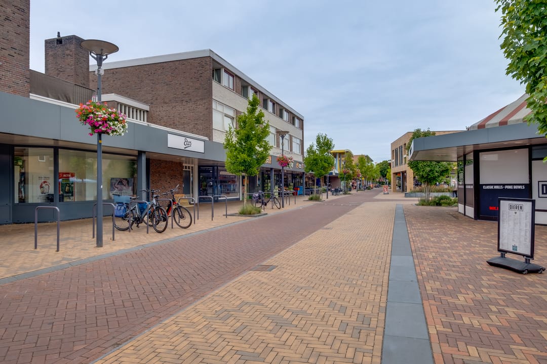 Photo 31 of Callunaplein 100