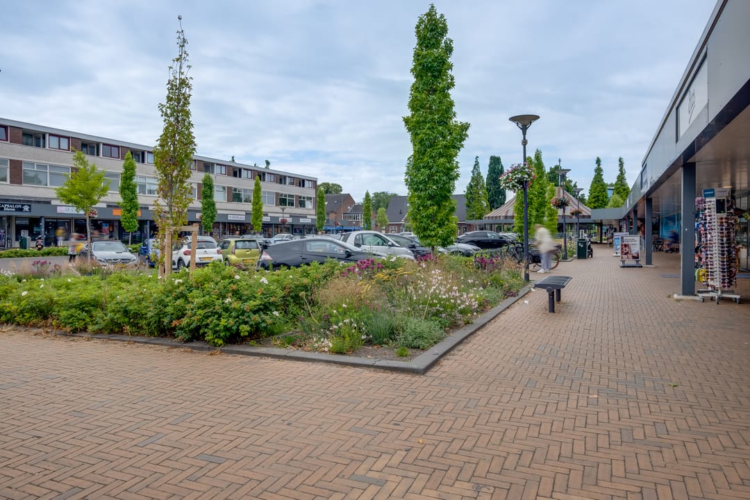 Photo 32 of Callunaplein 100