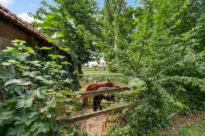 Photo 20 of Gertrudisstraat 8