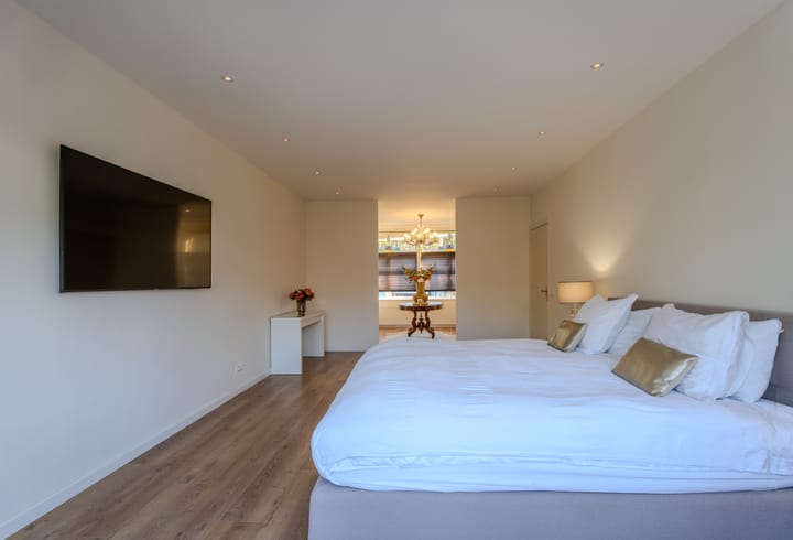 Foto 38 van Boergoensevliet 176