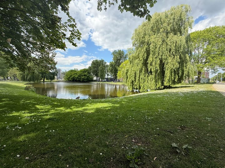 Foto 68 van Boergoensevliet 176