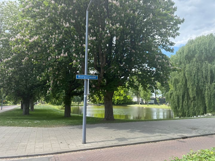 Foto 69 van Boergoensevliet 176