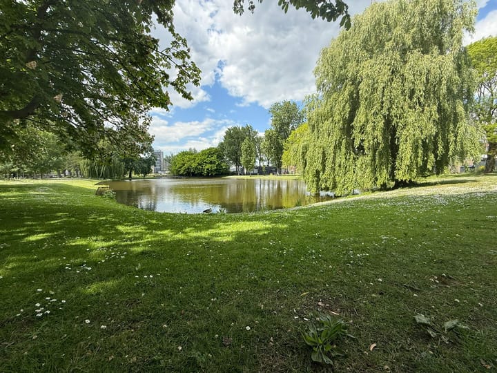 Foto 70 van Boergoensevliet 176